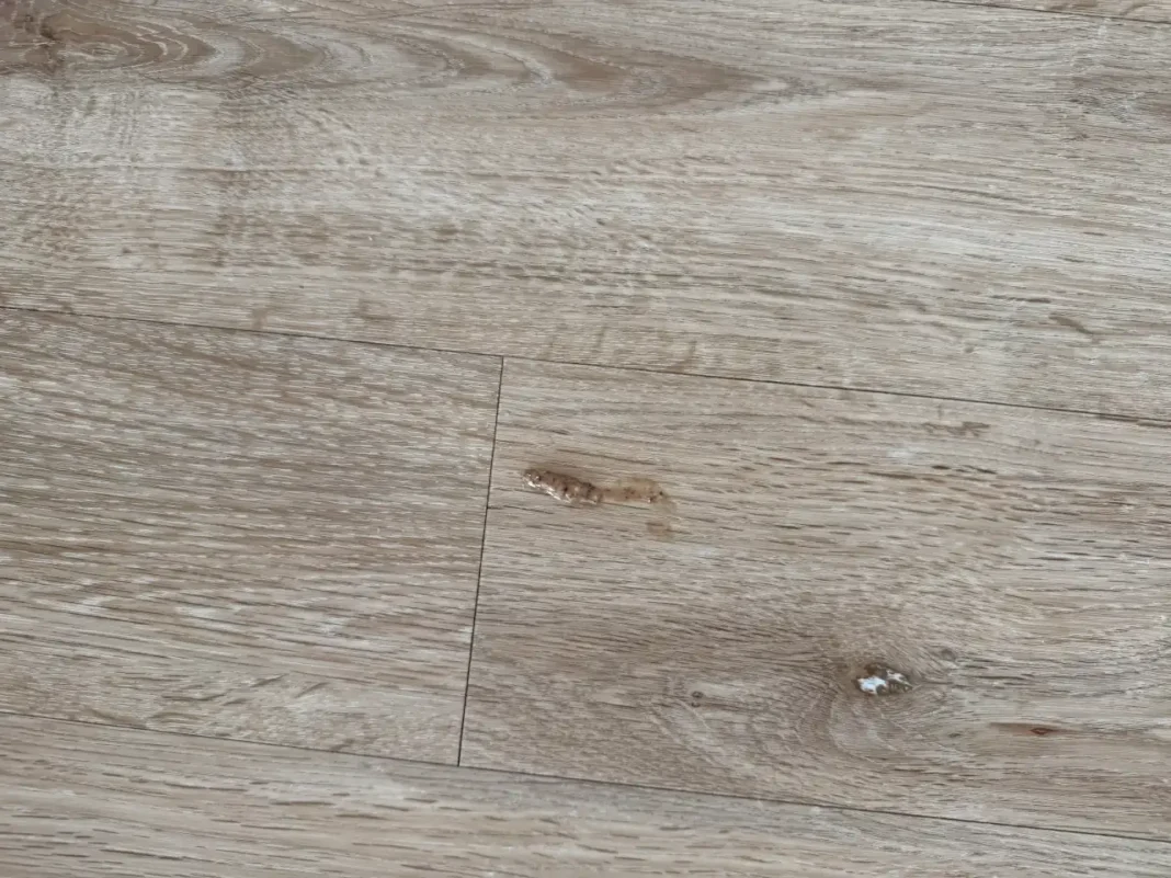 Roborock Saros 10 - mancha antes da limpeza