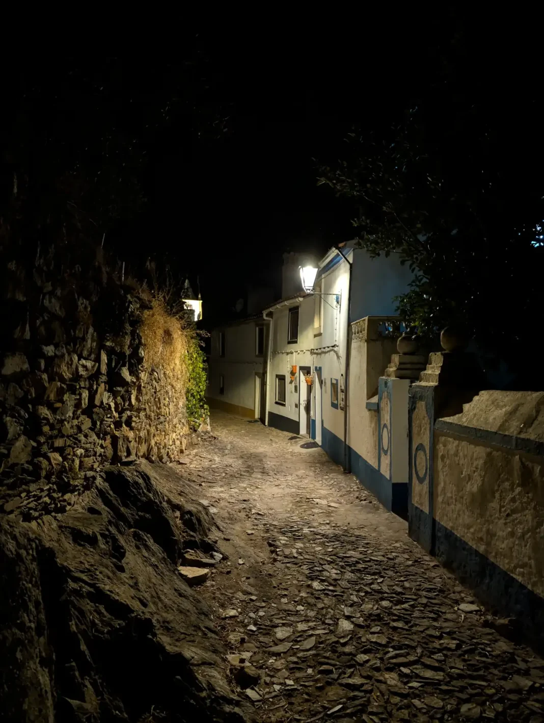 Foto com o Google Pixel 10 Pro XL