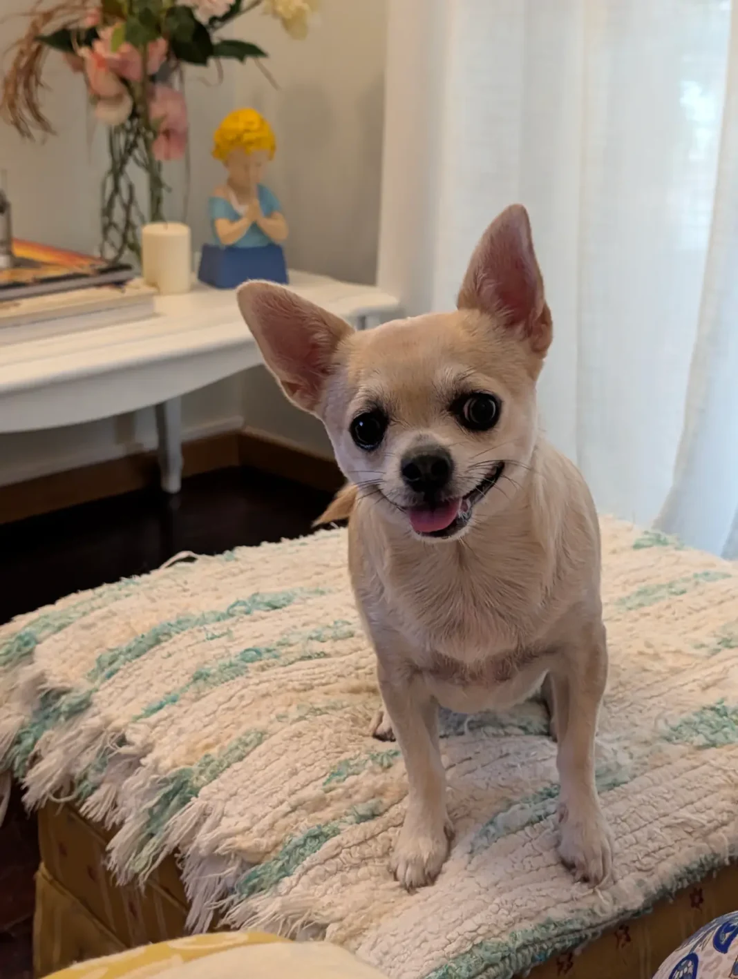 Foto com o Google Pixel 10 Pro XL