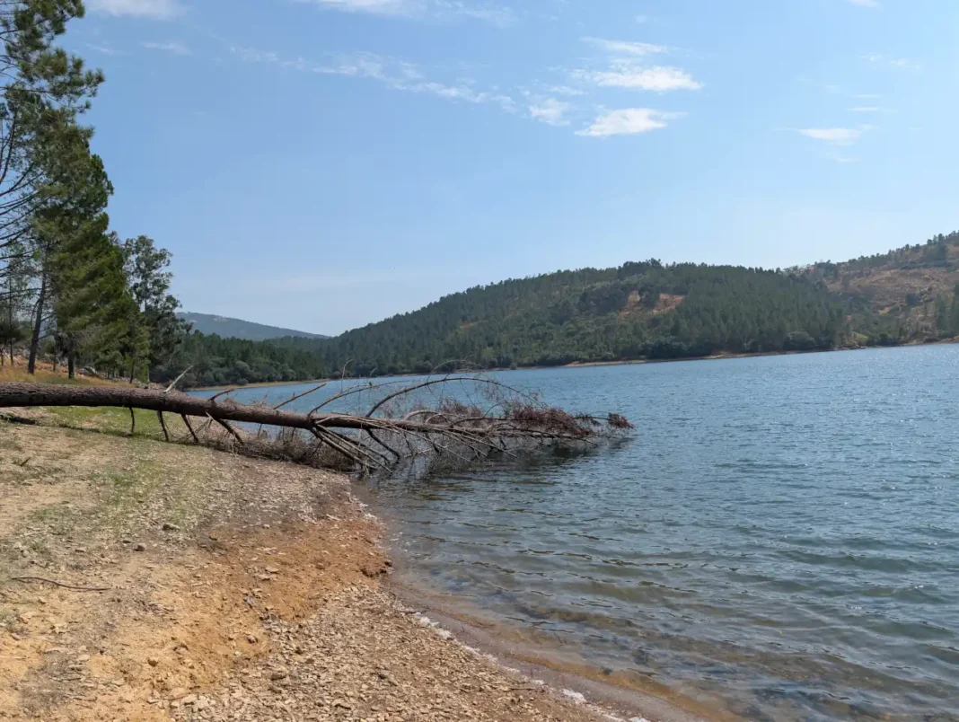 Foto com o Google Pixel 10 Pro XL