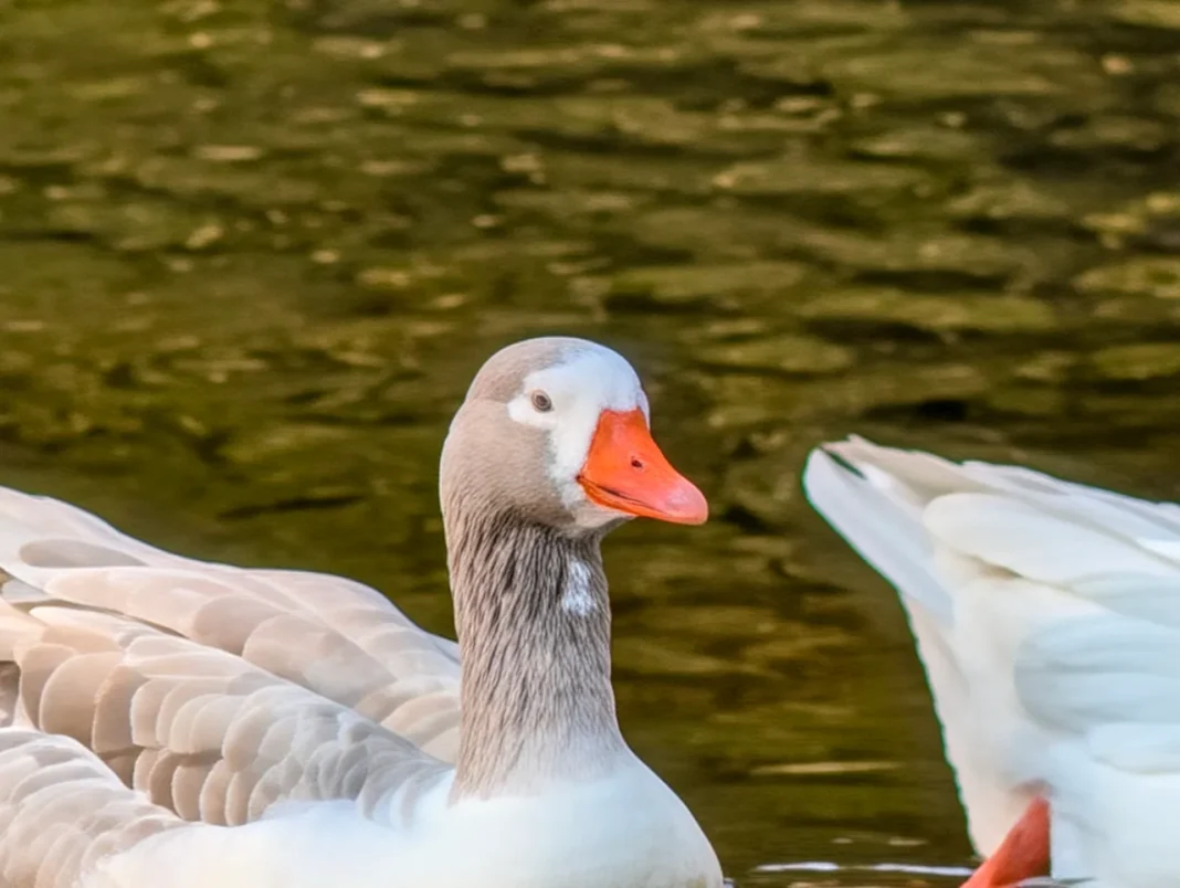 Foto com o Google Pixel 10 Pro XL