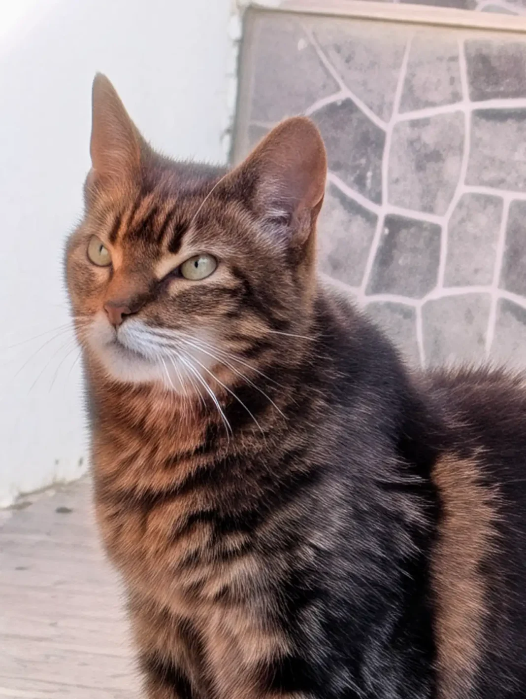 Foto com o Google Pixel 10 Pro XL