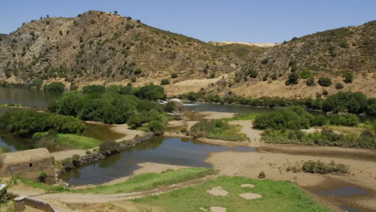 Governo investe 187 milhões de euros na recuperação ecológica de rios e ribeiras