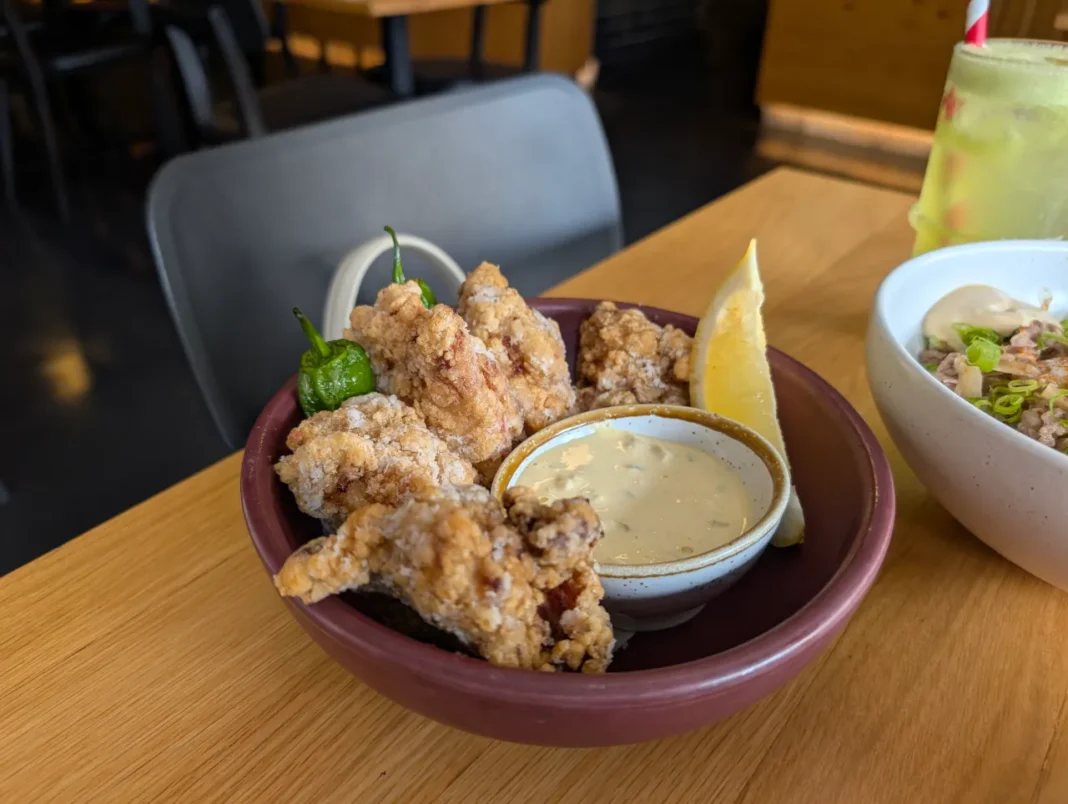 Stage 35 - Karaage