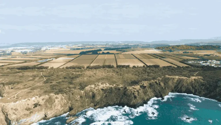 Novo parque solar da Vitacress vai gerar 31% da energia da fábrica