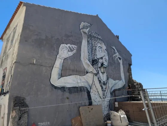 WOOL - Covilhã Urban Art Festival