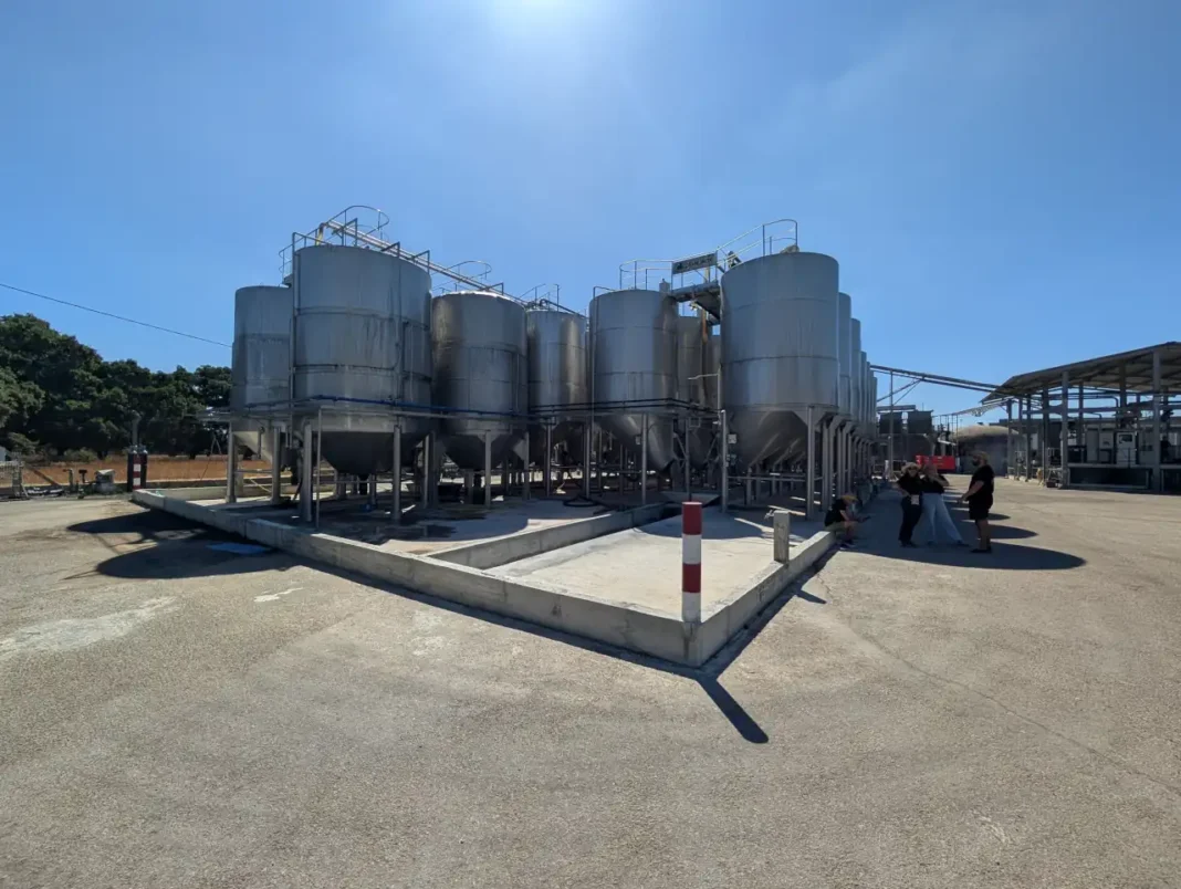 Adega de Palmela - Um Dia de Vindima