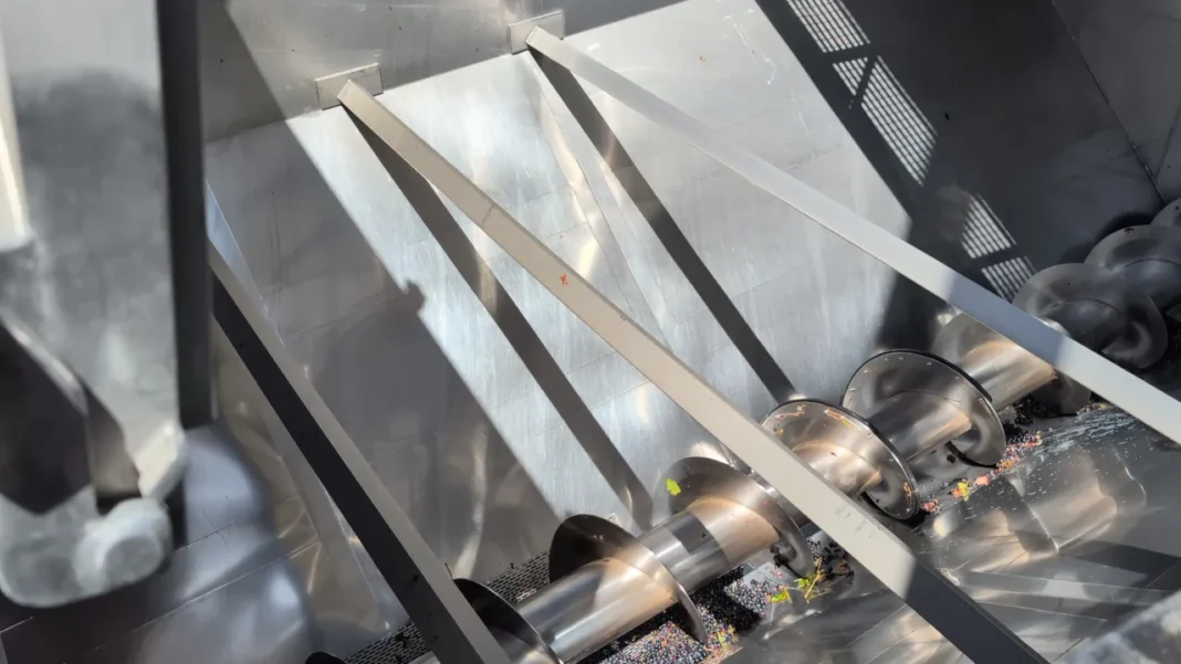 Adega de Palmela - Um Dia de Vindima