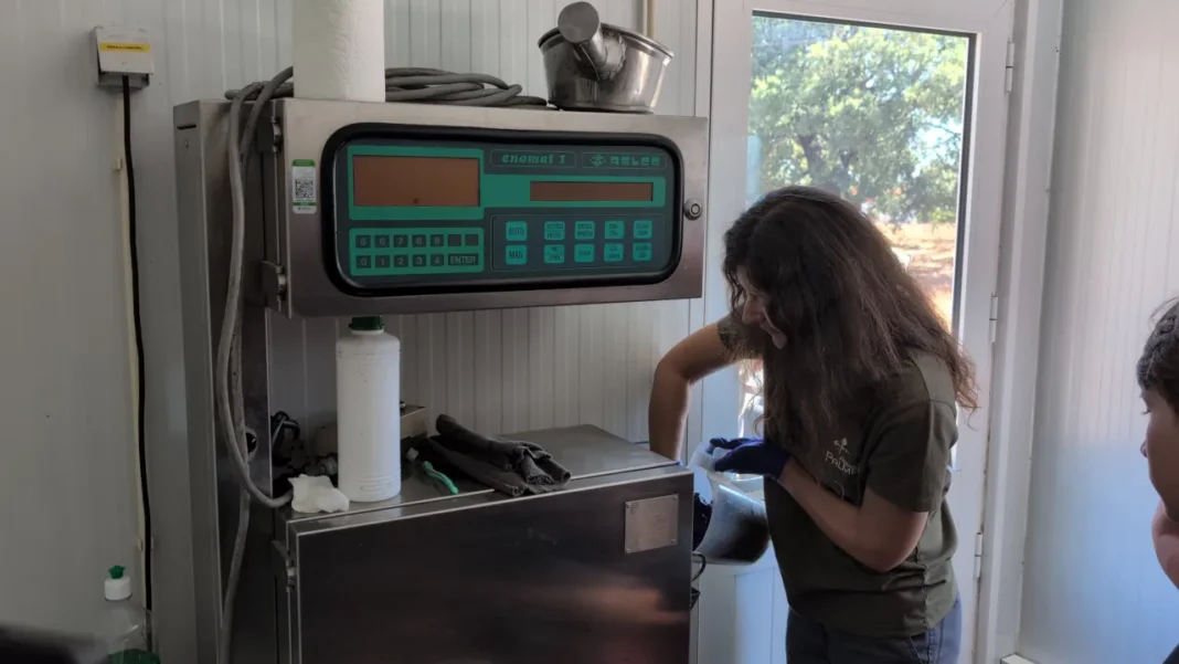 Adega de Palmela - Um Dia de Vindima