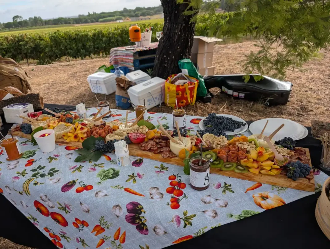 Adega de Palmela - Um Dia de Vindima