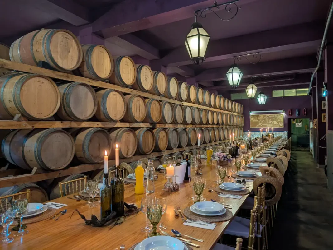 Adega de Palmela - Um Dia de Vindima