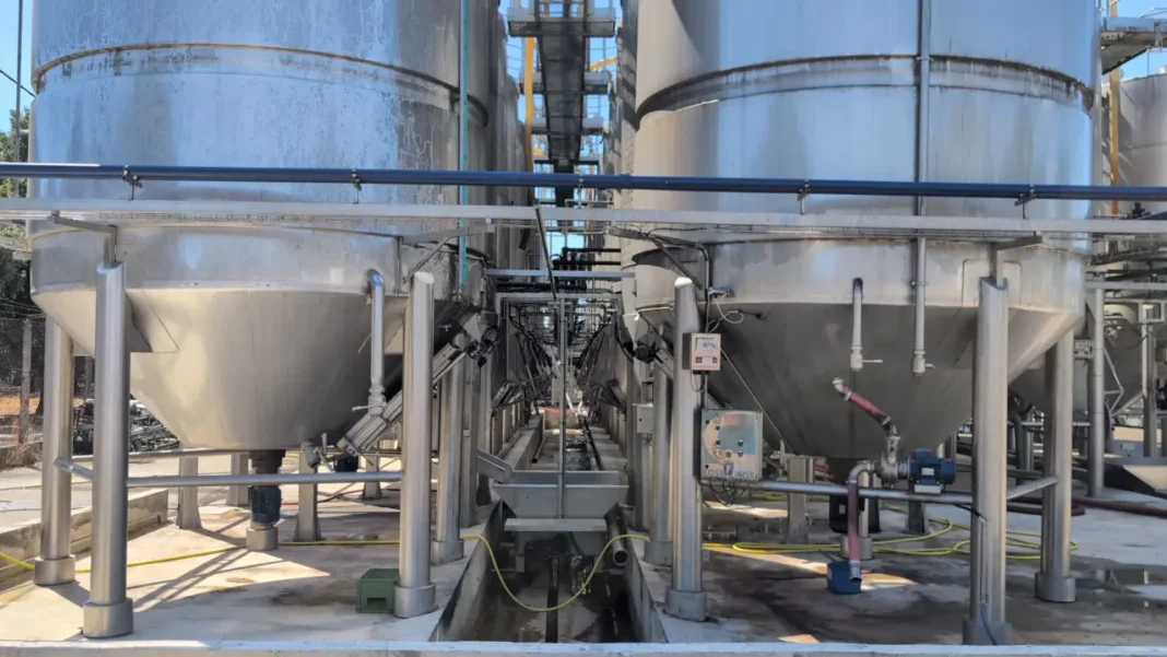 Adega de Palmela - Um Dia de Vindima