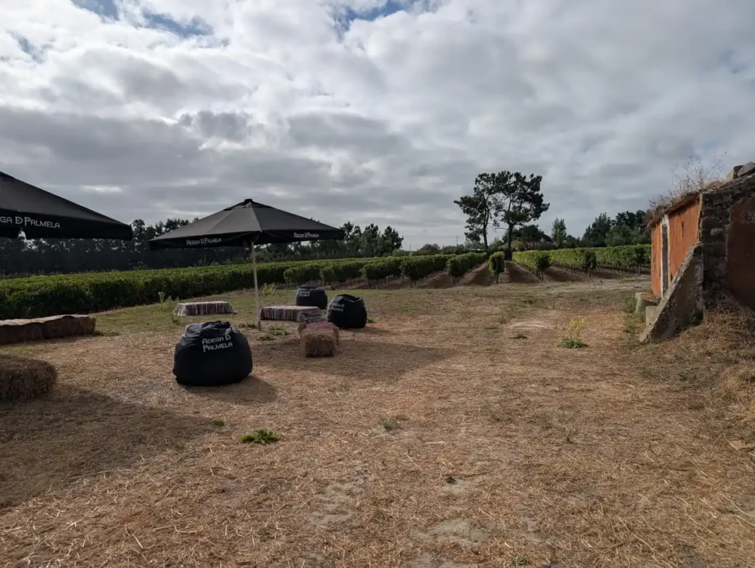 Adega de Palmela - Um Dia de Vindima
