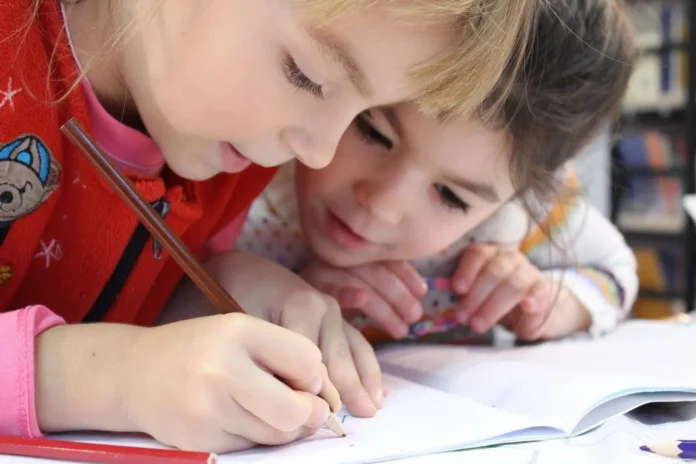 manuais escolares ensino básico