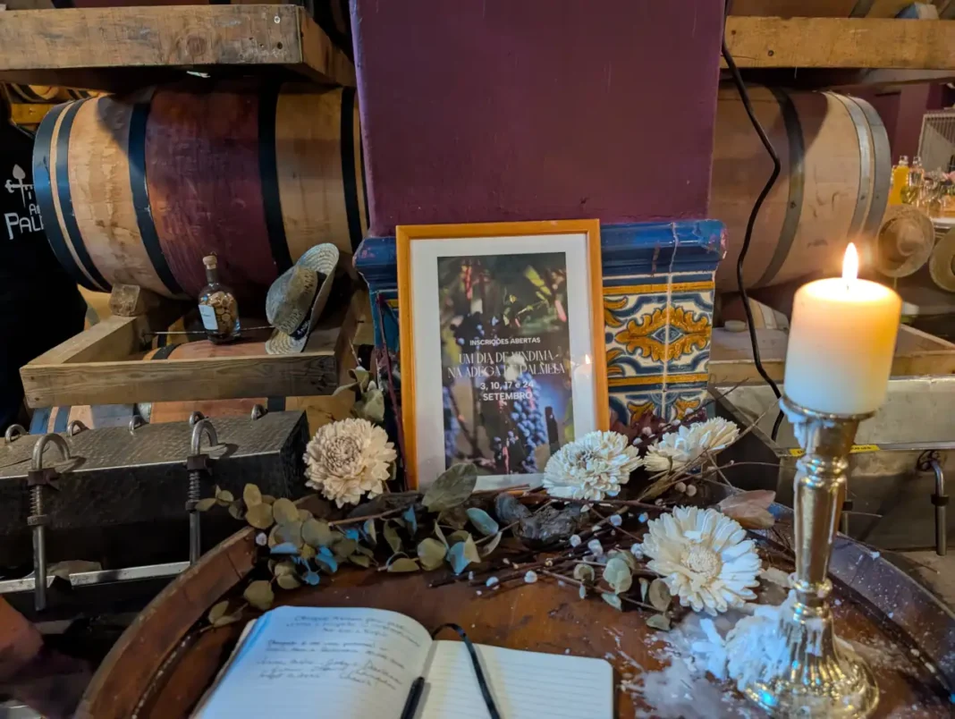 Adega de Palmela - Um Dia de Vindima