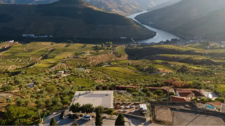 Pop-up enogastronómico Deck by Loivos 475 oferece vista privilegiada sobre os socalcos do Douro