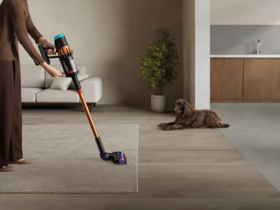 Dyson V16 Piston Animal