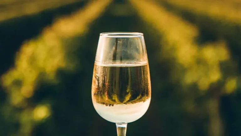 Comboio da CP leva visitantes ao coração do Douro para celebrar a vindima