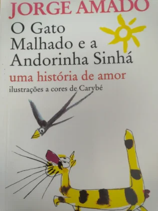 Boox 2 - fotografia tirada a uma capa de livro