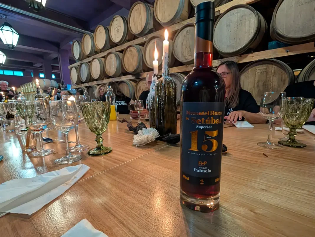 Adega de Palmela - Um Dia de Vindima