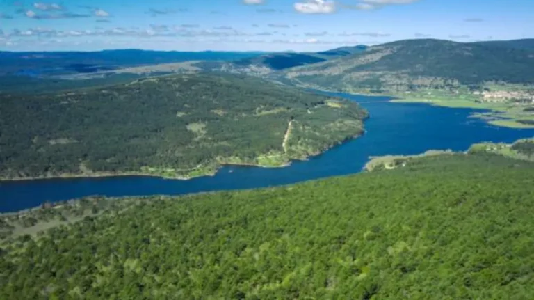Antarr adquiriu os 709 hectares da propriedade Vale de Mouro