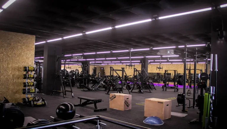 VivaGym expande-se no Algarve com aquisição do Grupo Gymnasium