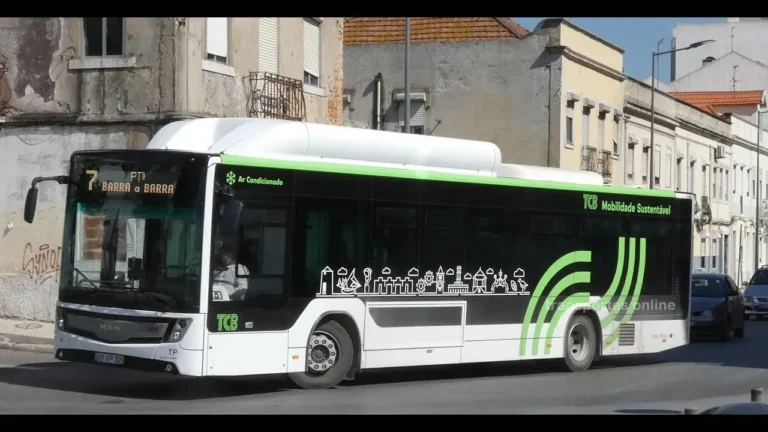 Greve dos Transportes Coletivos do Barreiro vai provocar perturbações no fim de semana
