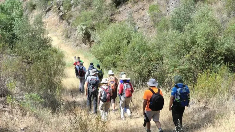 Alentejo Walking Festival 2025 promove o turismo de natureza e os percursos pedestres da região