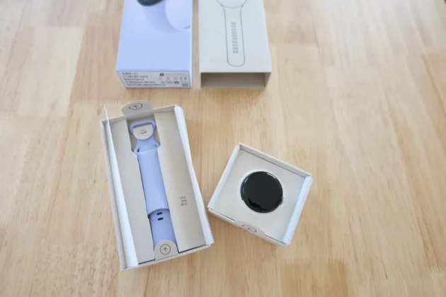 bracelete e mostrador pixel watch 4