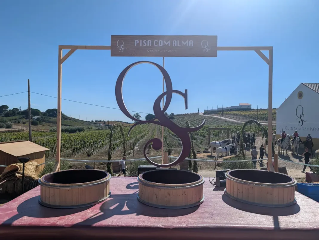 III Festa das Vindimas na Quinta do Sampayo