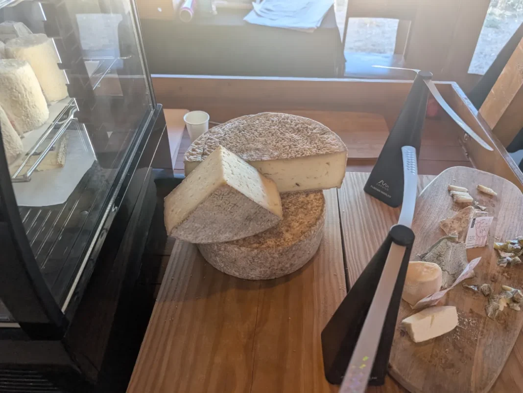 III Festa das Vindimas na Quinta do Sampayo