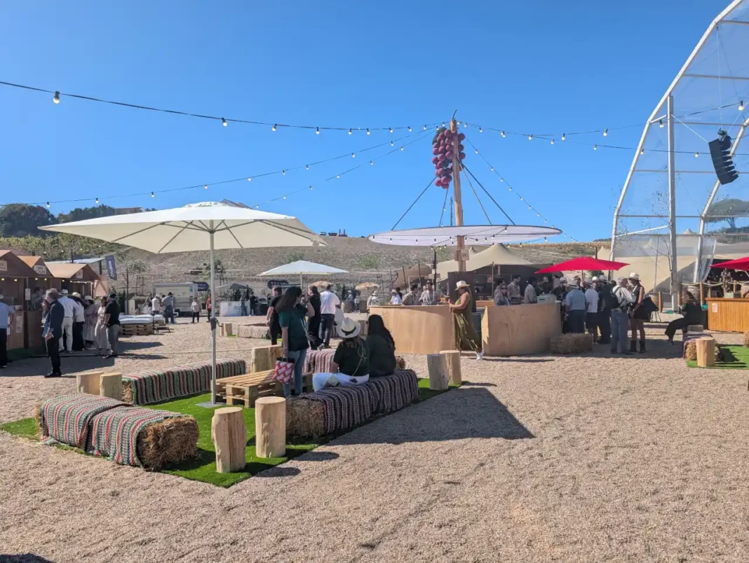 III Festa das Vindimas na Quinta do Sampayo