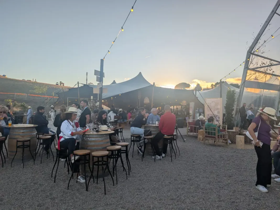 III Festa das Vindimas na Quinta do Sampayo