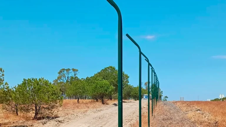 Instaladas vedações de proteção no Alentejo e Algarve para minimizar risco de atropelamento do Lince-ibérico