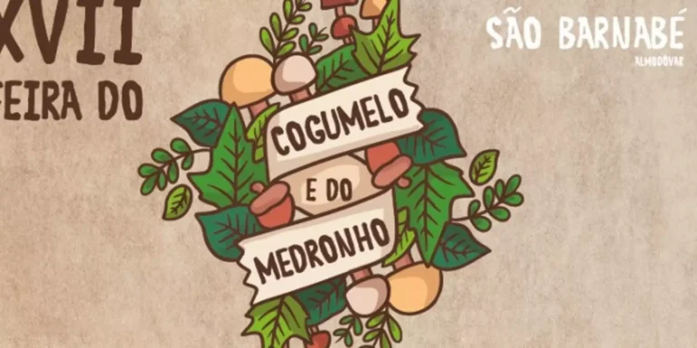 Feira do Cogumelo e do Medronho está de volta a São Barnabé