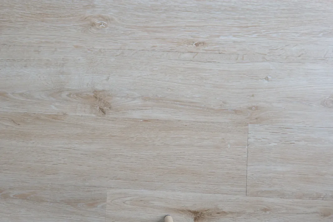 Dreame X50 Ultra Complete - ch&atilde;o limpo