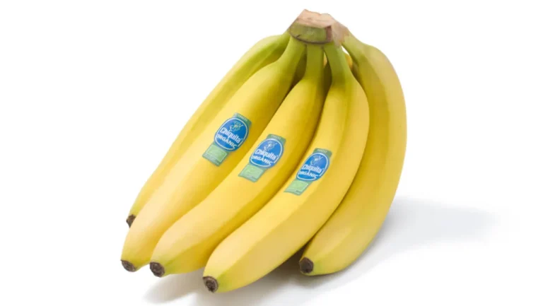 Marca de bananas Chiquita escolhe Portugal para novo centro logístico