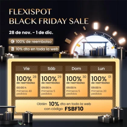 Flexispot Black Friday 2025