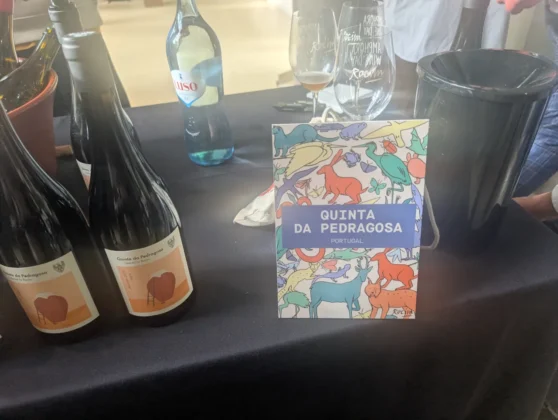 Herdade do Rocim - Quinta da Pedragosa