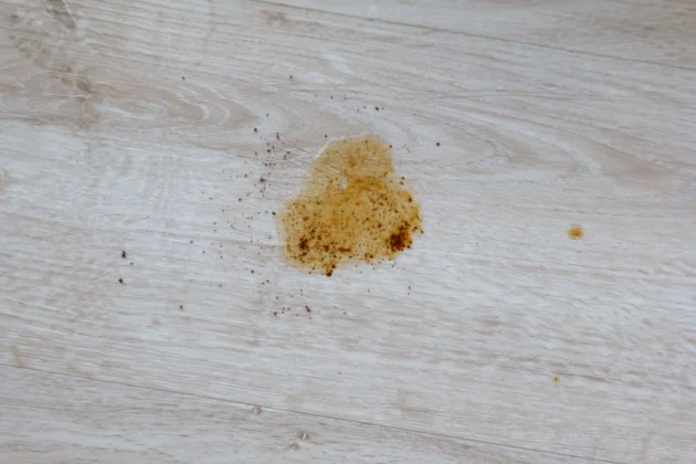 Dreame X50 Ultra Complete - mancha de café