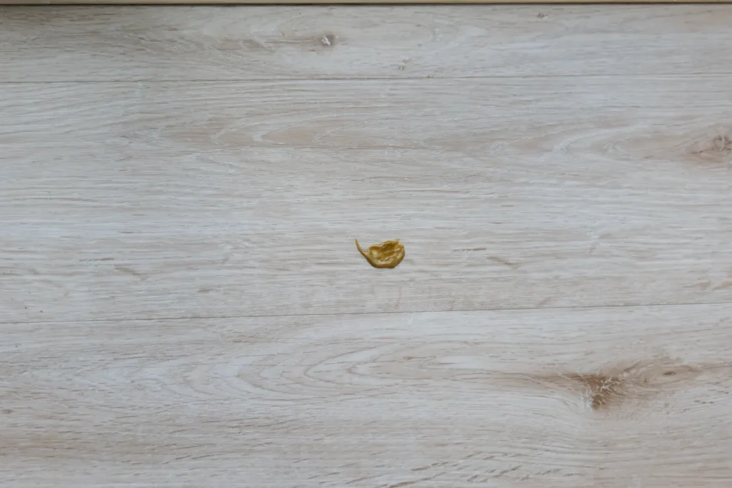 Dreame X50 Ultra Complete - manteiga de amendoim