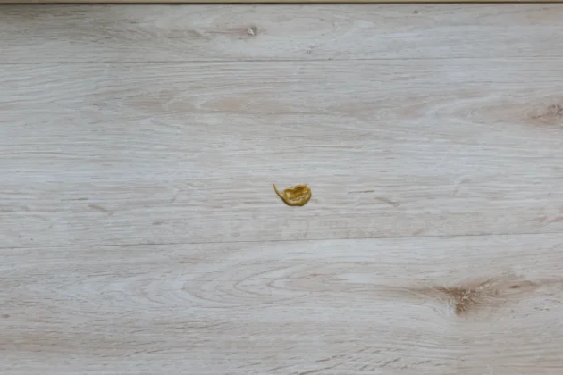 Dreame X50 Ultra Complete - manteiga de amendoim