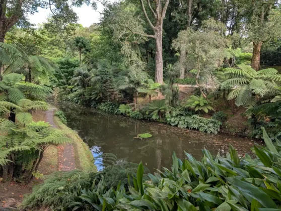 Parque Terra Nostra