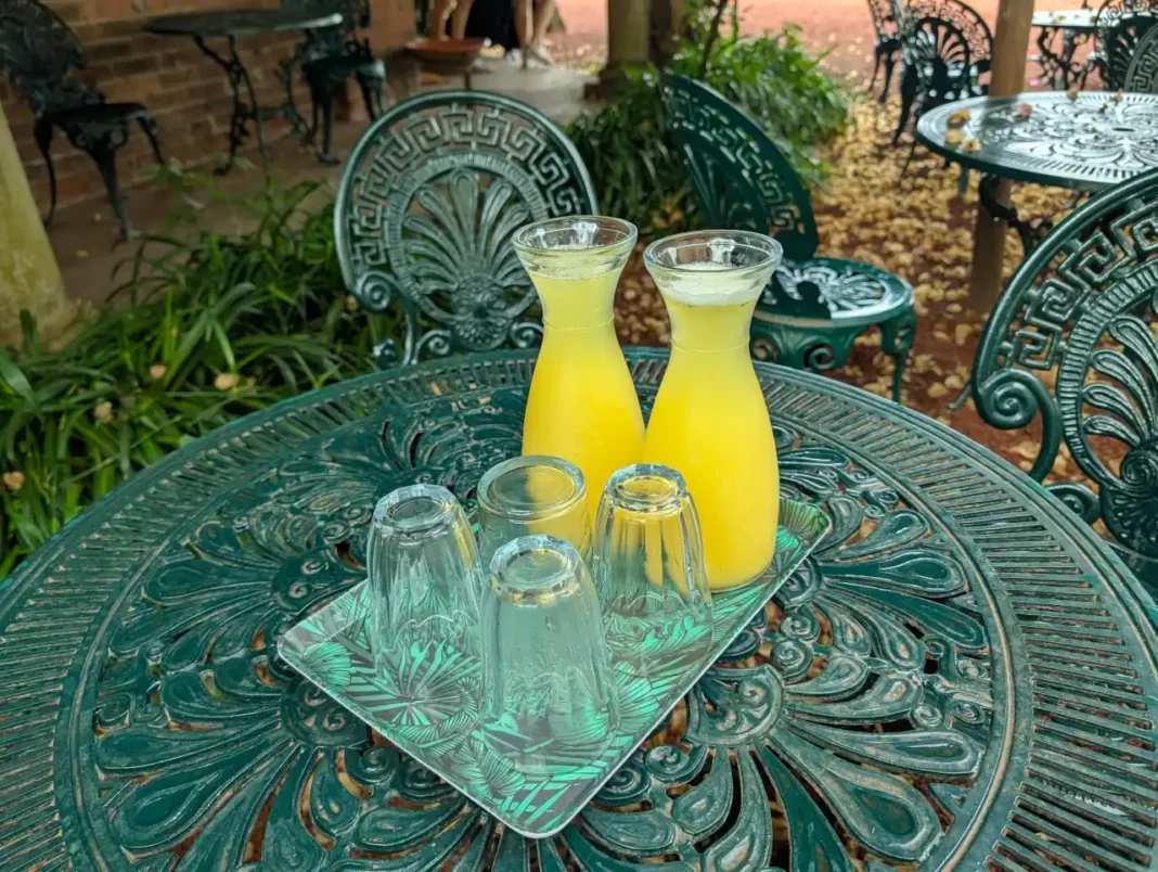 Sumo de anan&aacute;s