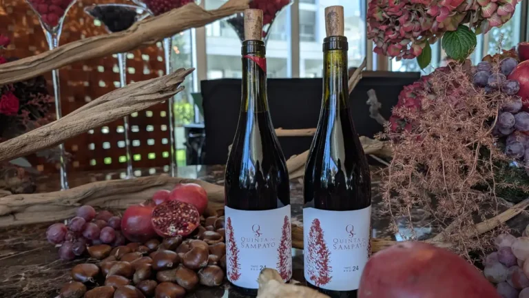 Um vinho e um caminho: Quinta do Sampayo assume futuro na viticultura regenerativa