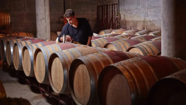 Oenofuture Limited em crise: investidores portugueses de vinhos de luxo em risco de perderem milhões de euros