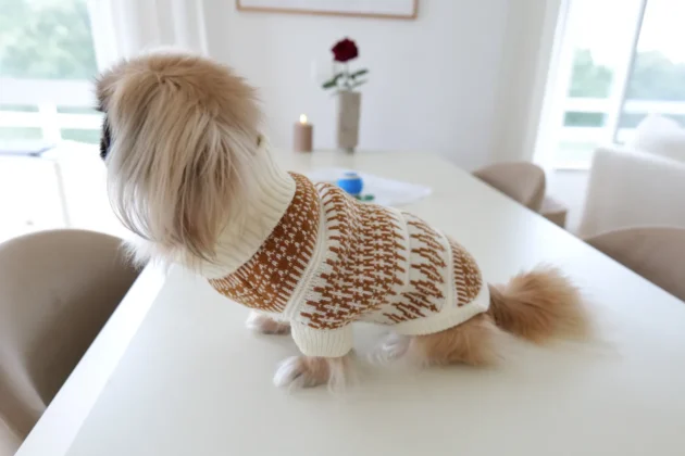 ZU Salsa Jeans Best Friends Fur-ever