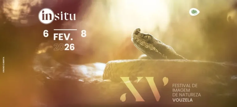 Vouzela acolhe o Festival de Imagem de Natureza em fevereiro
