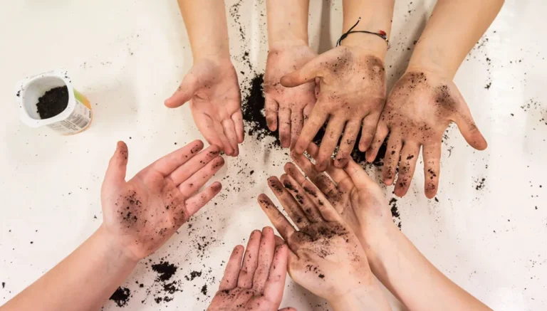 Votação pública decide projetos escolares apoiados pela Missão Continente