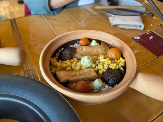 Nood Saldanha - KINOKO